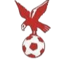 https://img.anyikao.com/img/football/team/4802d26df935b78bb2fcdbbff36e8864.png